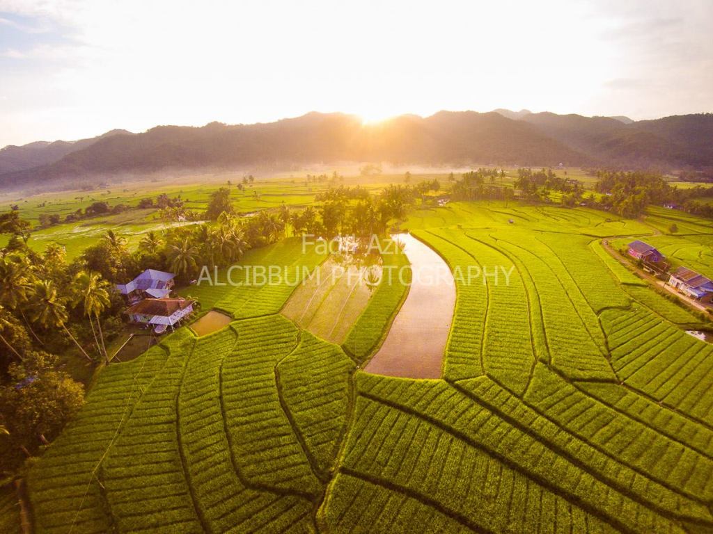 Pemandangan Sawah Sumatra Barat Dari Udara Alcibbum Aerial Indonesia